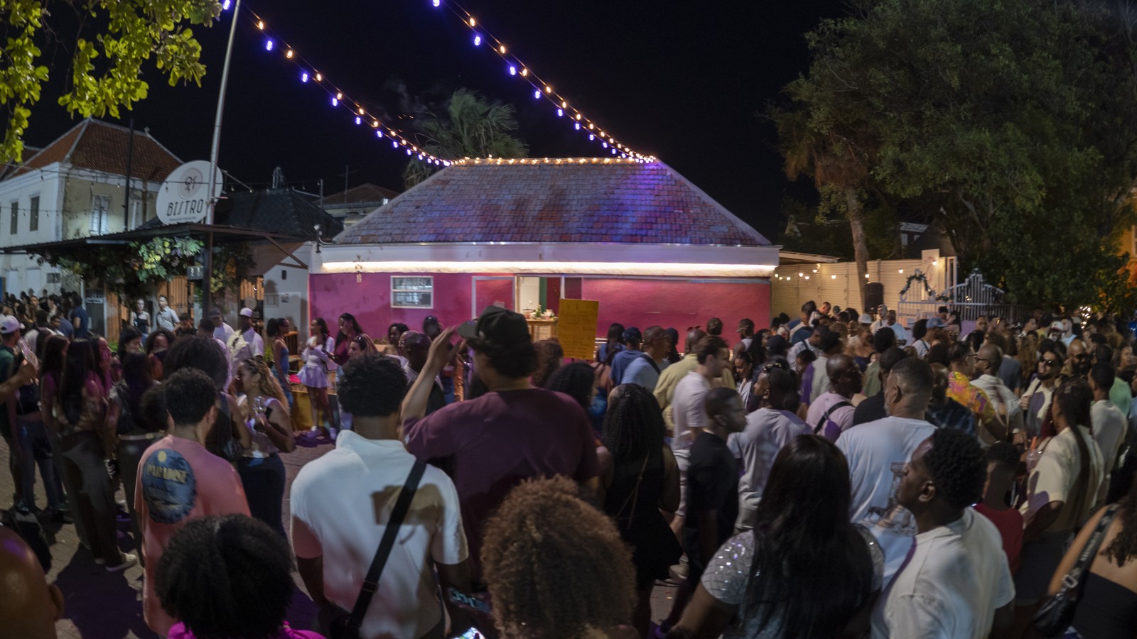 The Pink Unicorn - Image 3