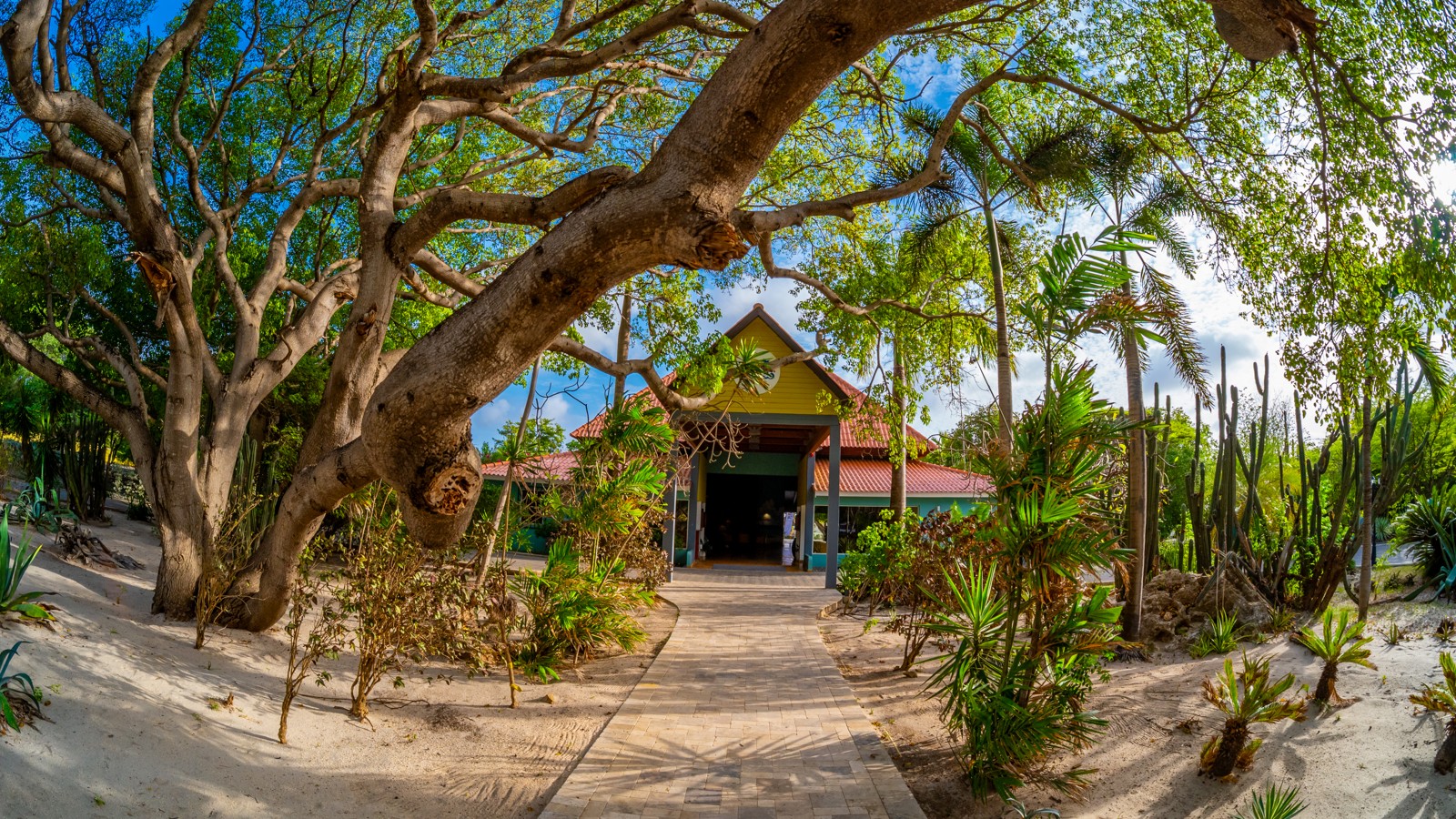 Playa Beach Club Curacao - Image 3