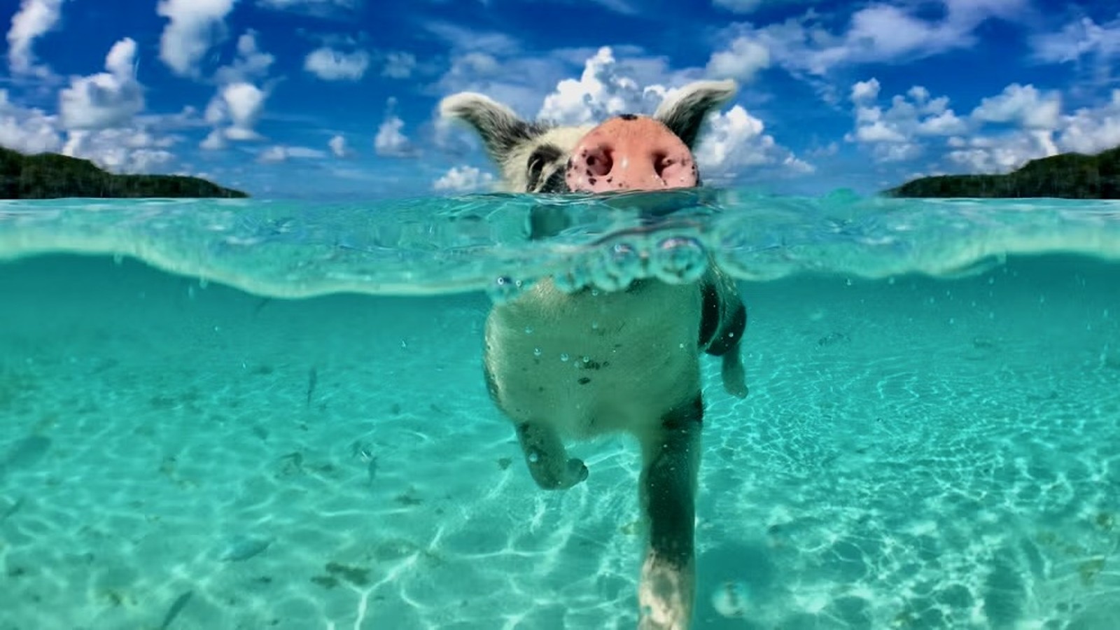 Clear Boat Ride & Porto Marie Beach Tour - Image 2