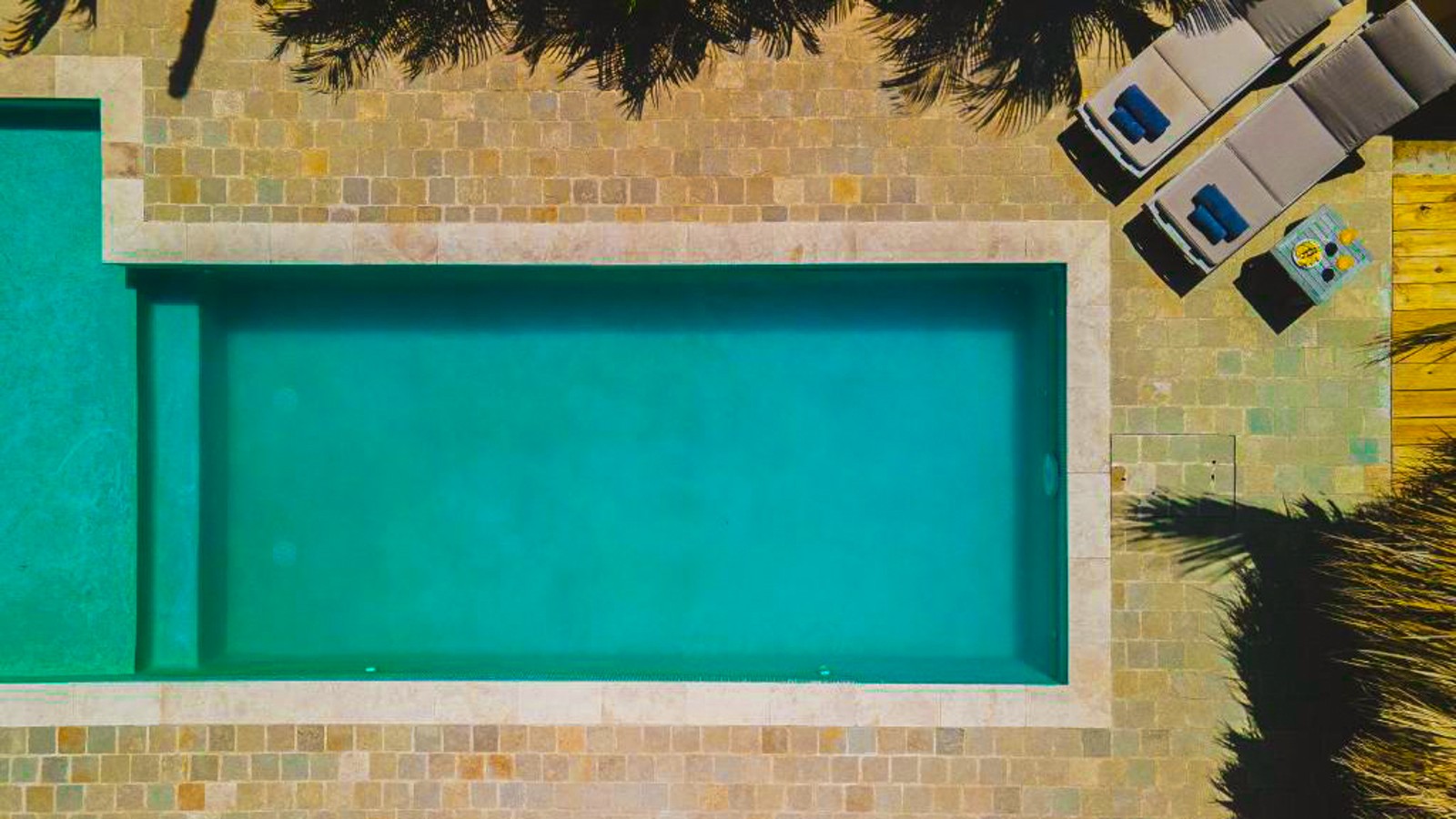 Puur Bonaire - Image 4