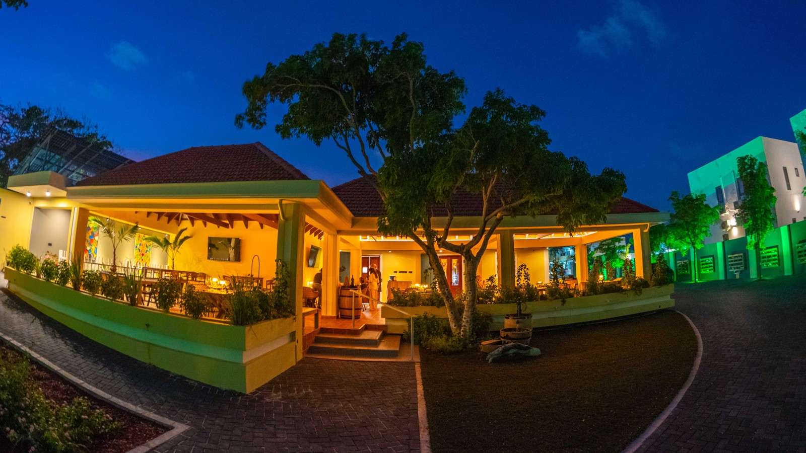 Quatre Vins (80 Curaçao) - Image 2