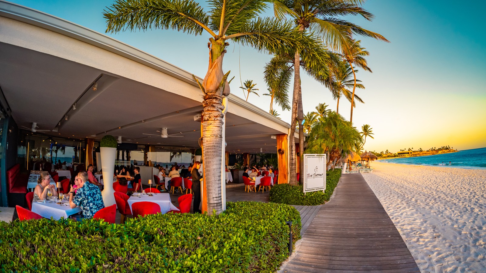 Red Parrot - Image 1