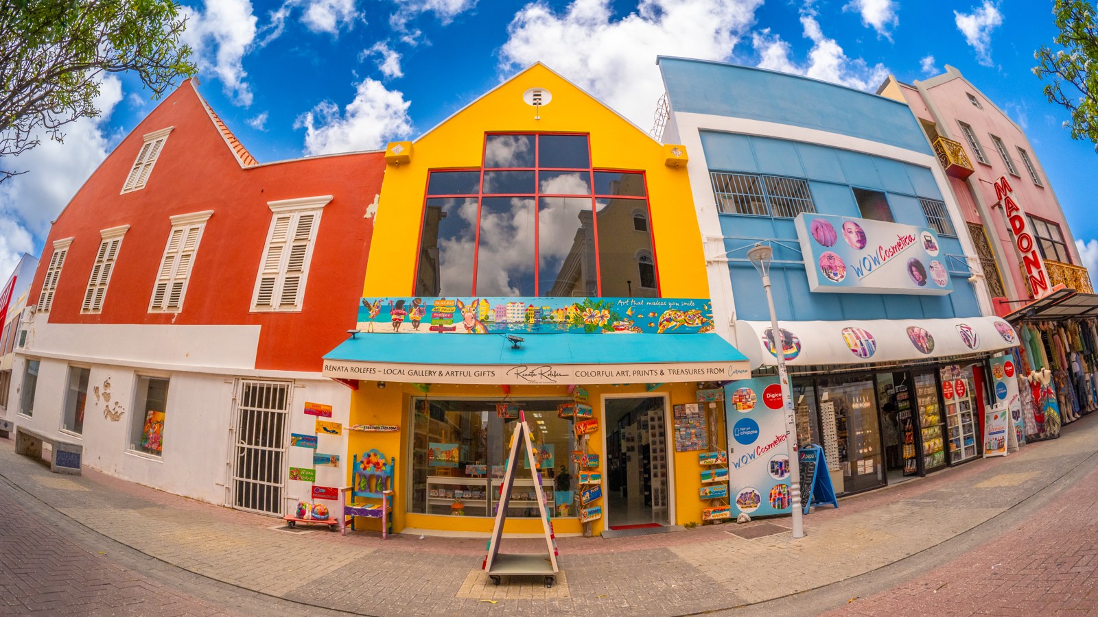 Renata Rolefes - Image 1