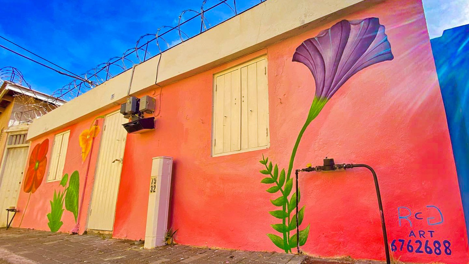 Riba Chill Gwn Art/ Artist Trevor Terzol - Image 1