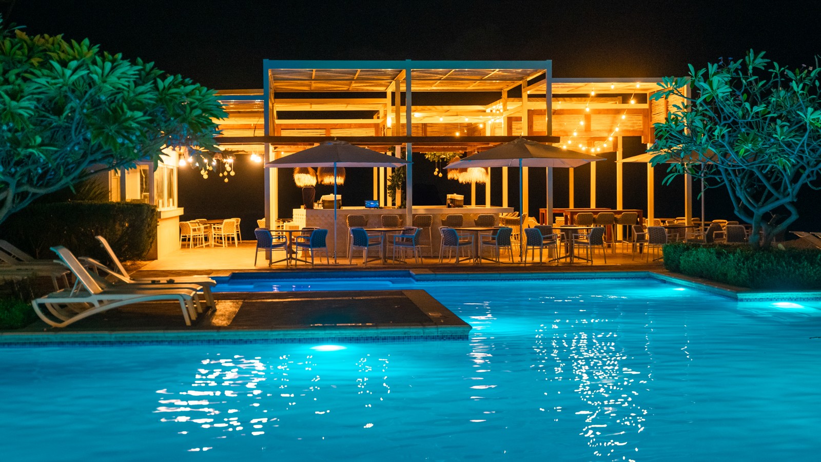 Salty Iguana - Image 2