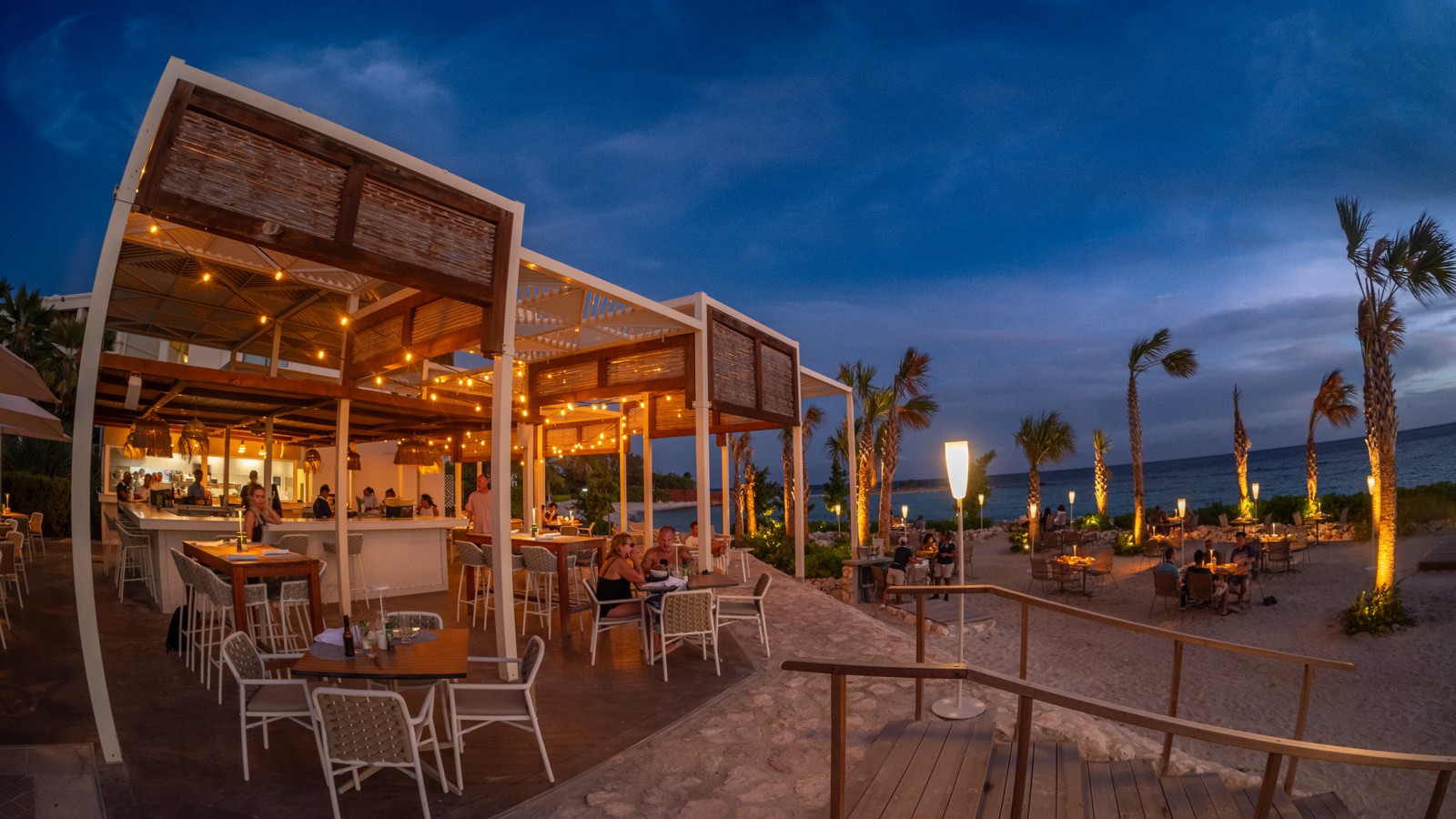 Salty Iguana - Image 5