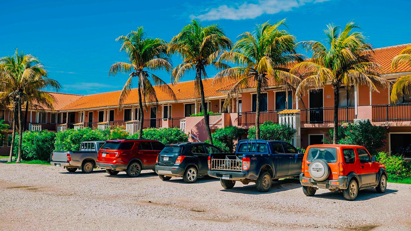 Sand Dollar Bonaire - Image 3