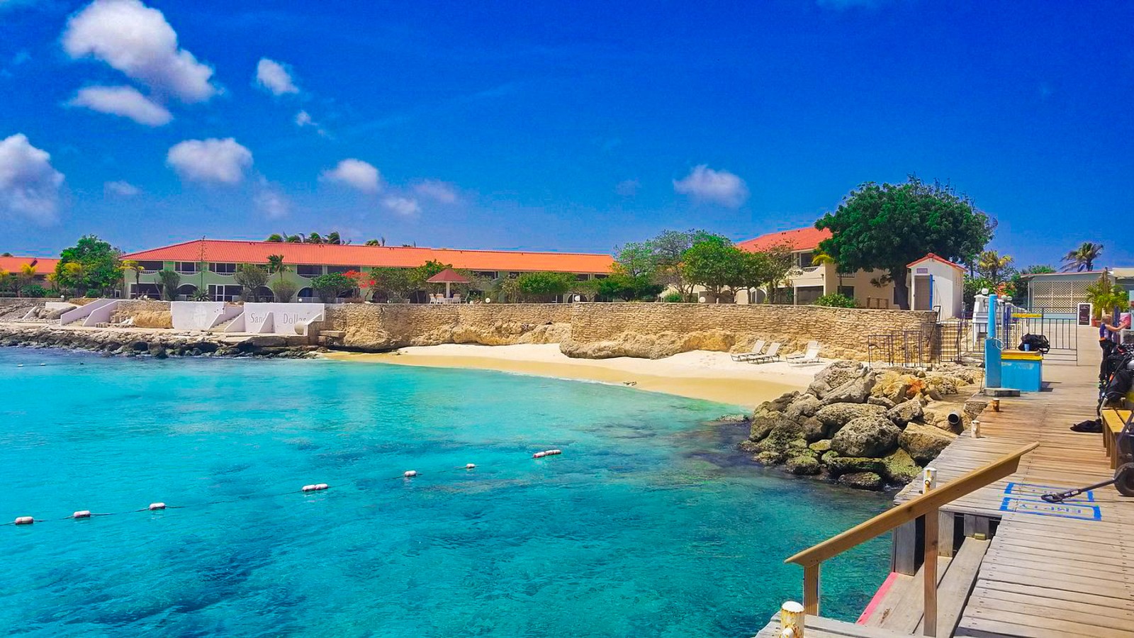 Sand Dollar Bonaire - Image 2