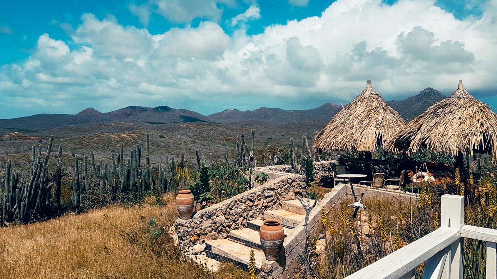 Shelterrock Paradise - Image 2