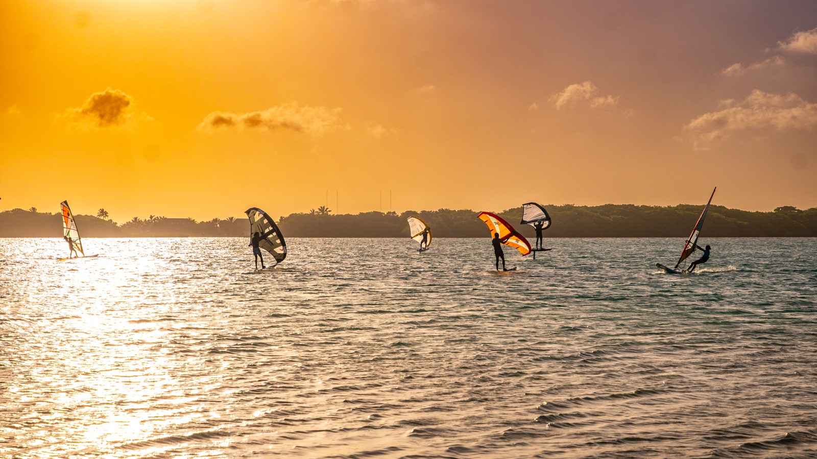 The Frans Paradise - Image 3