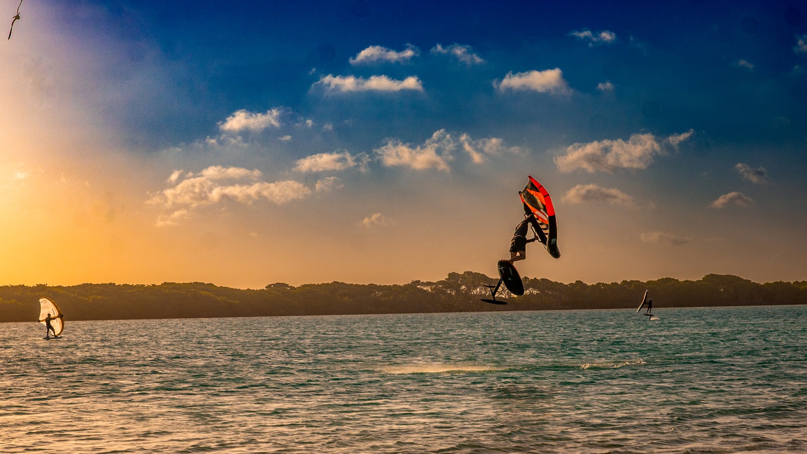 The Frans Paradise - Image 4