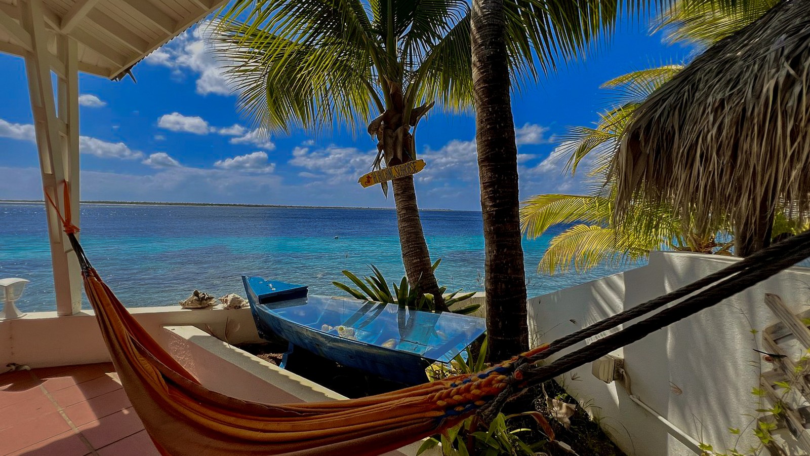 The Laughing Seahorse - Image 2