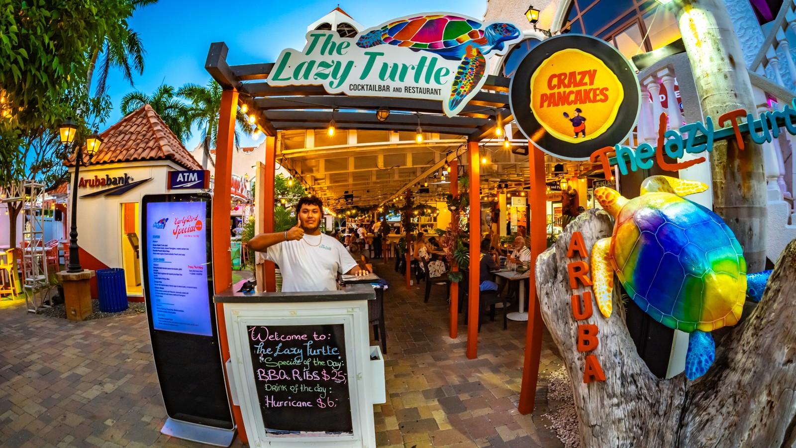 The Lazy Turtle - Image 1