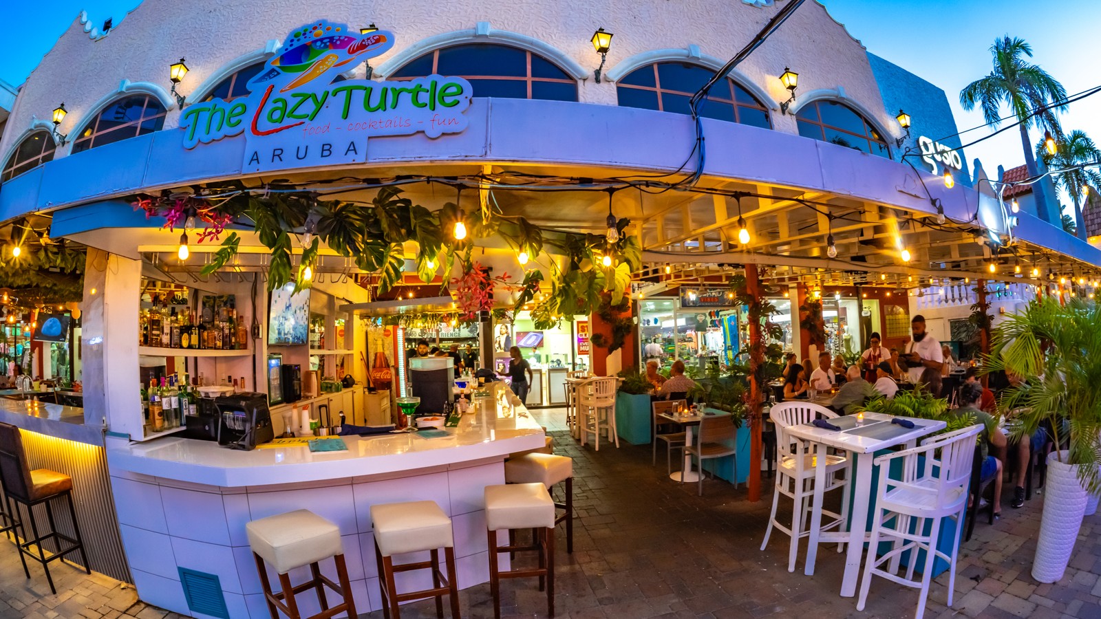 The Lazy Turtle - Image 2