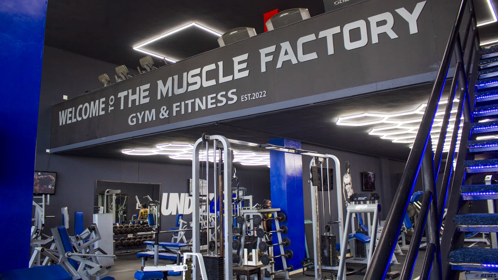 The Muscle Factory - Image 1