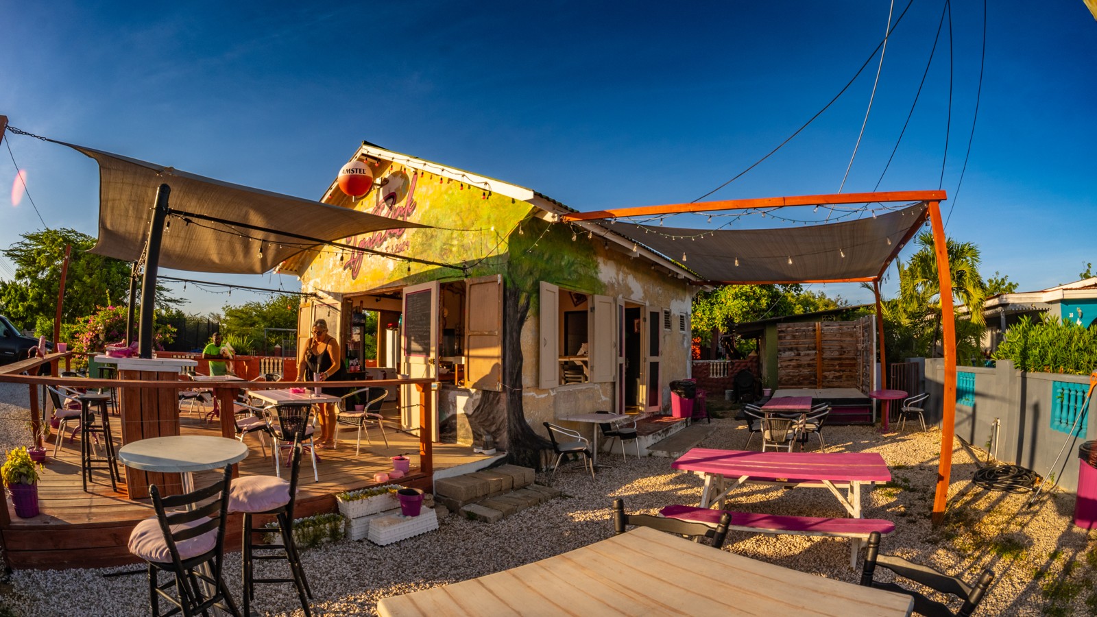 The Pink Iguana - Image 3