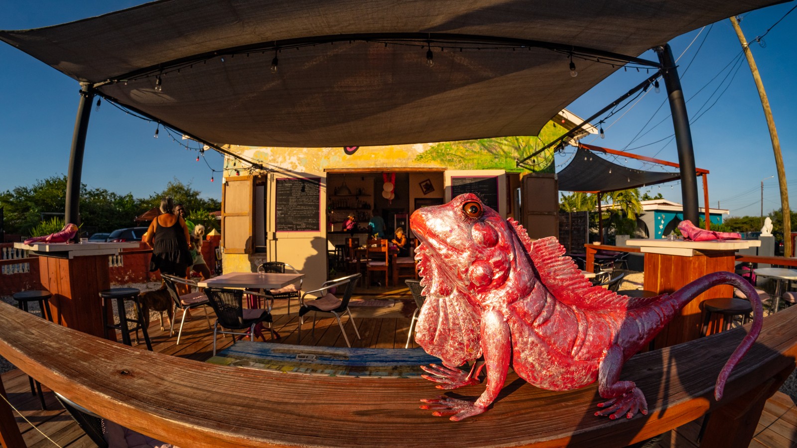 The Pink Iguana - Image 4