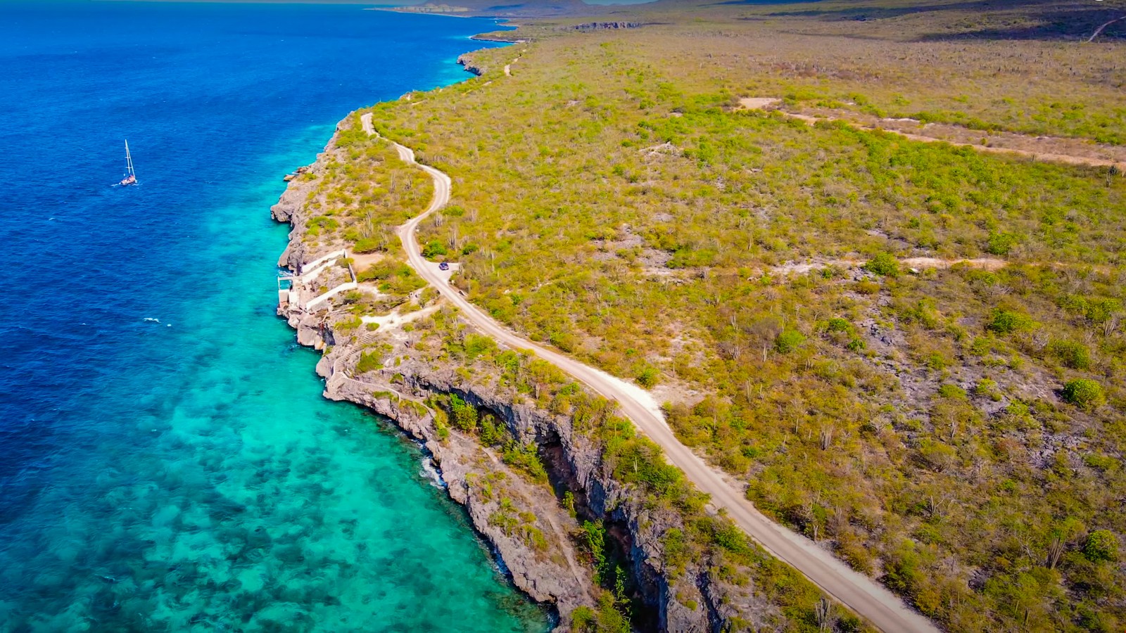 1,000 Steps - Image 2