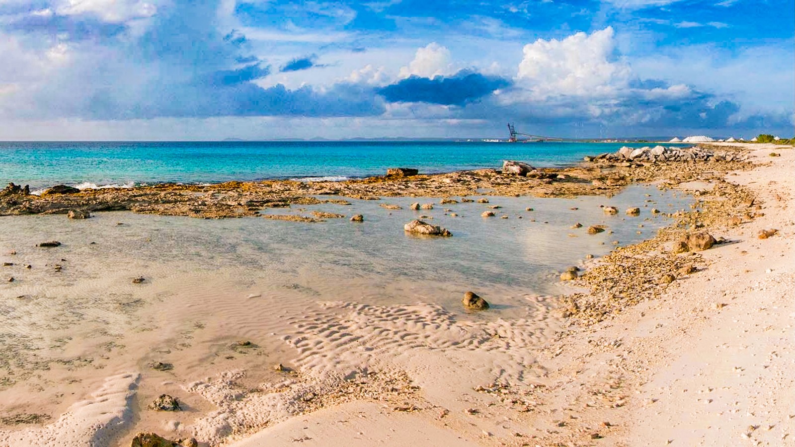 Tori’s Reef - Image 1