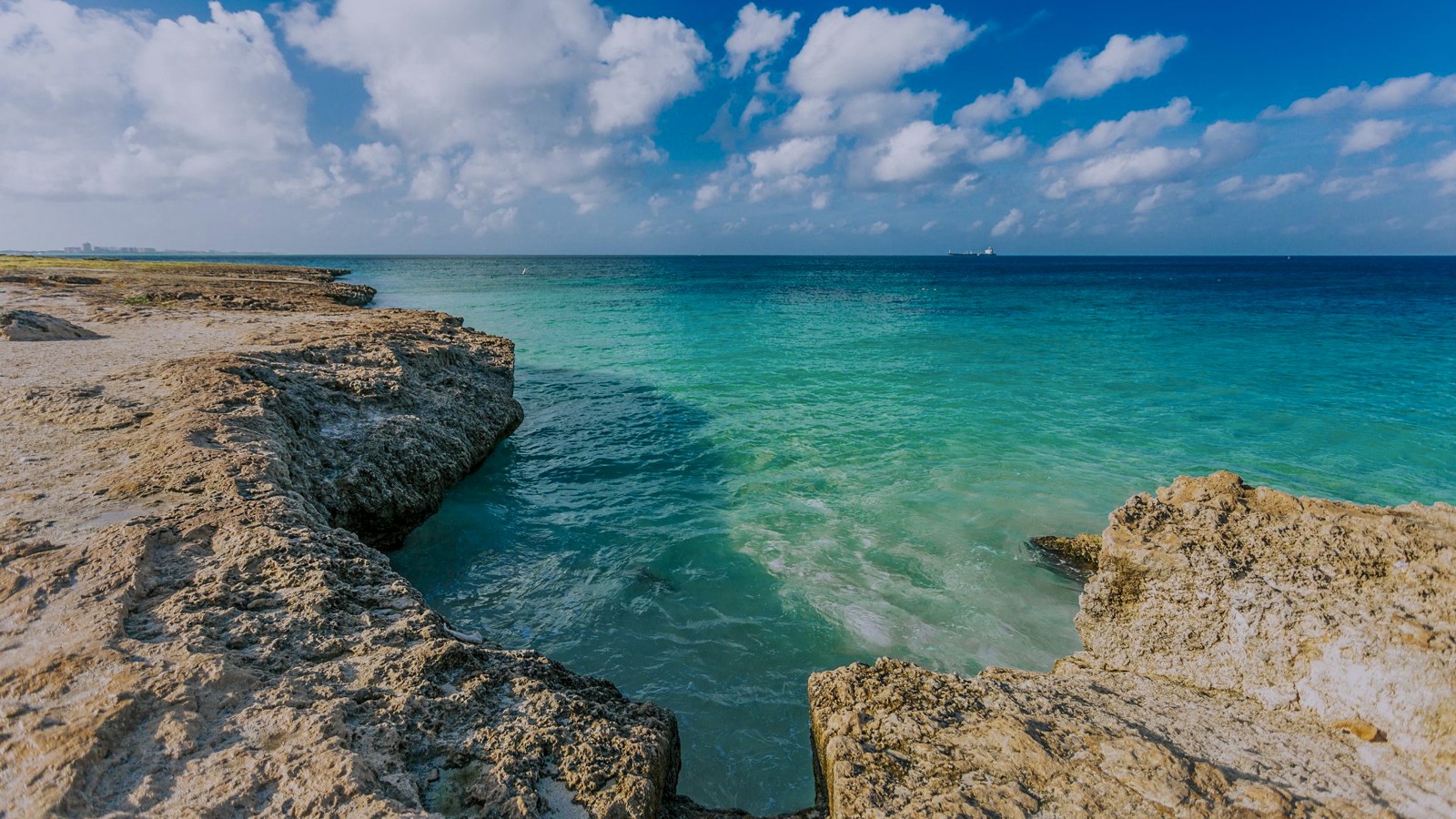 Tres Trapi - Image 1