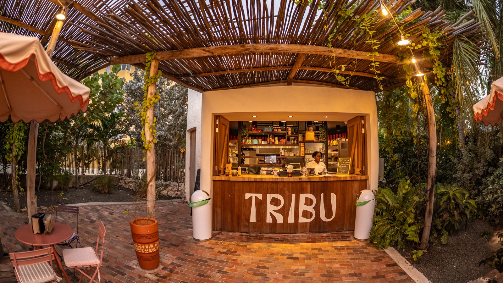 Tribu - Image 4