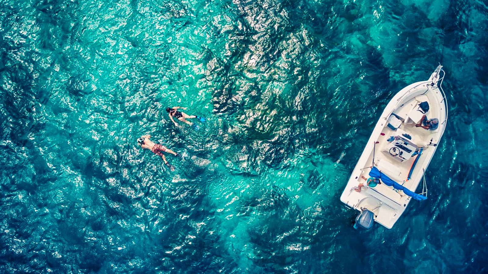 Trip and Treat - Image 1