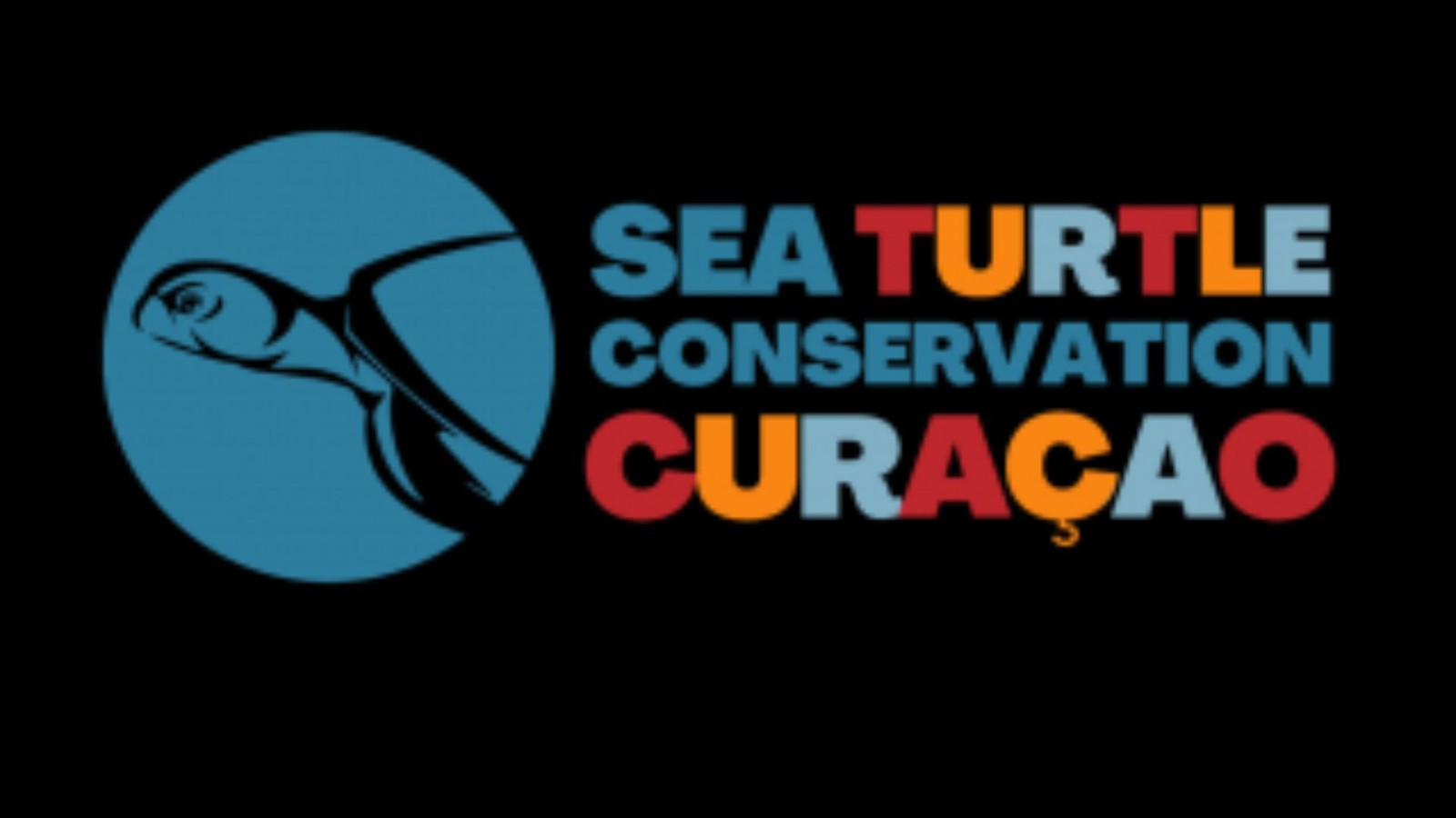 Turtle Rock 4 – Sea Turtle Conservation Fundraiser - Image 1