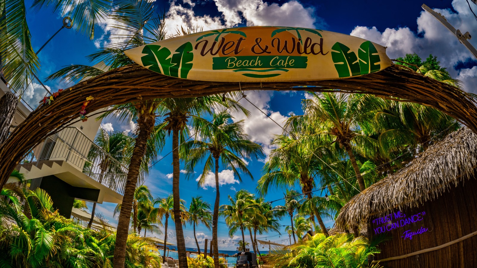 Wet & Wild - Image 3