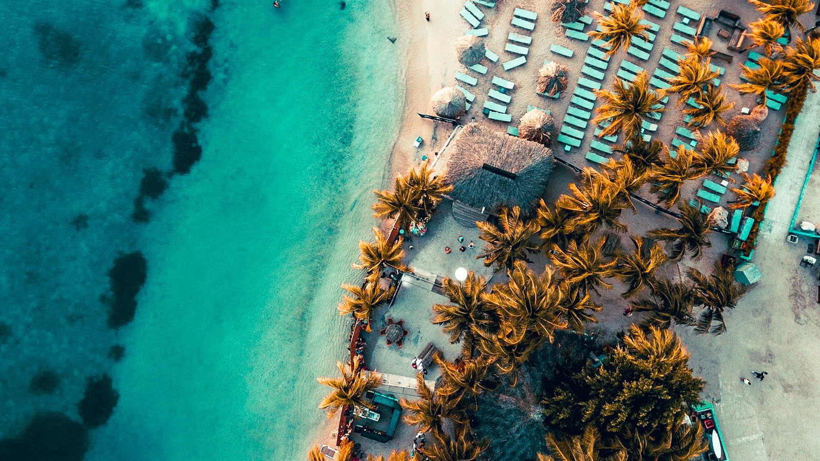 Wet & Wild - Image 2