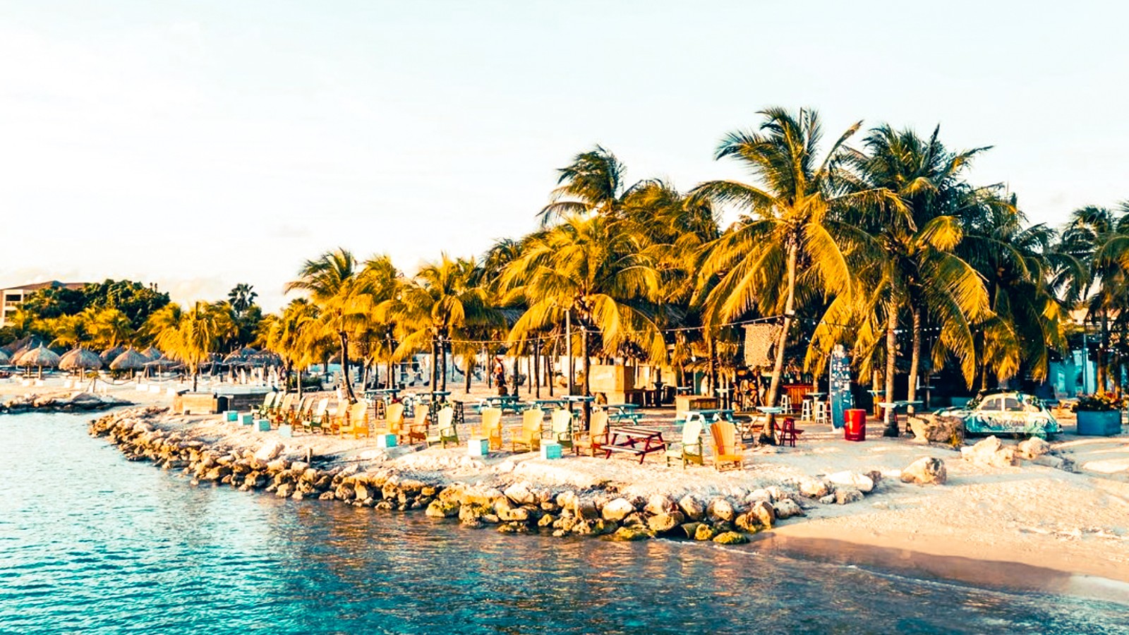 Wet & Wild - Image 5