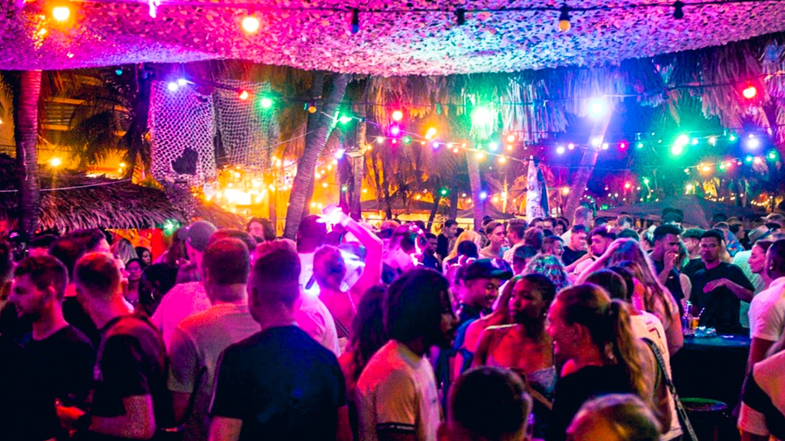 Wet & Wild - Image 1