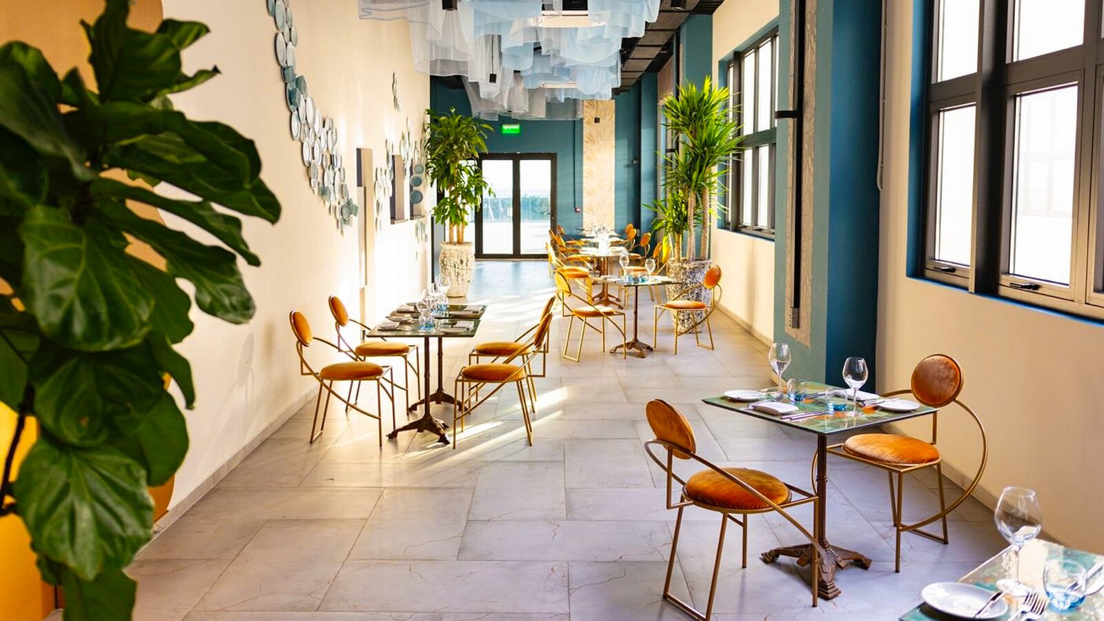 It's Ribeye Mondays at ZOH - Image 1