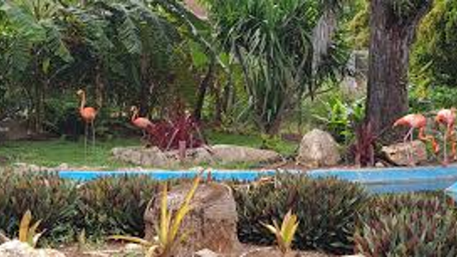 Curaçao Zoo & Botanical Garden - Image 1