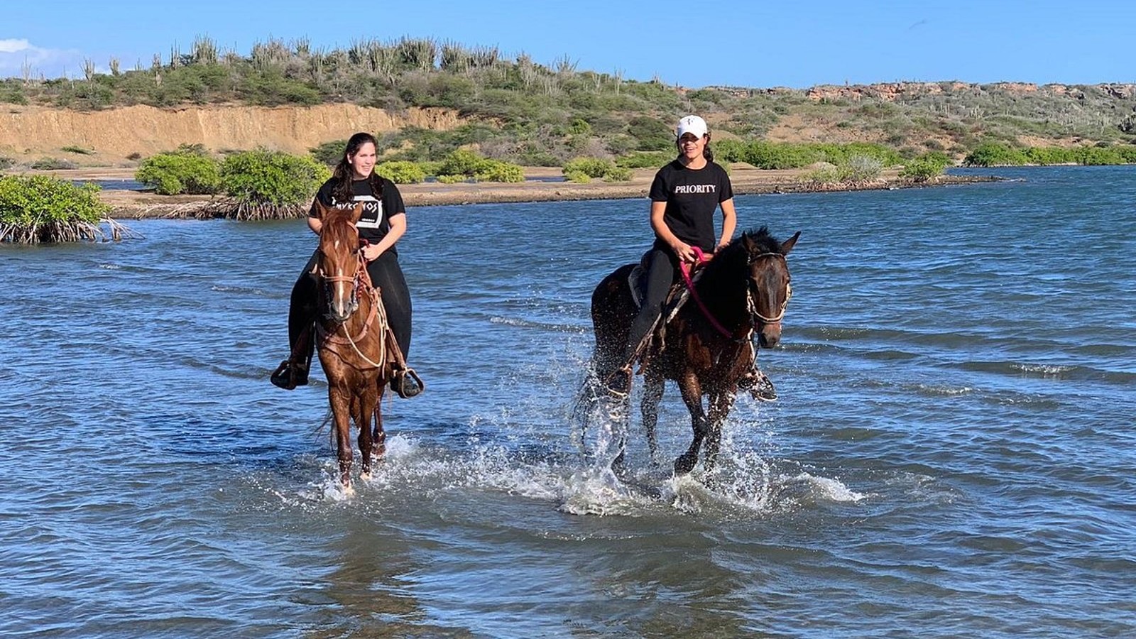 Horseback Beach Ride (Private) - Image 1