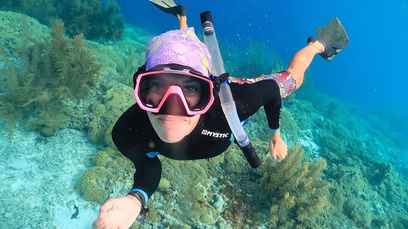 Private Charter Snorkel, Sail, Relax - Image 3