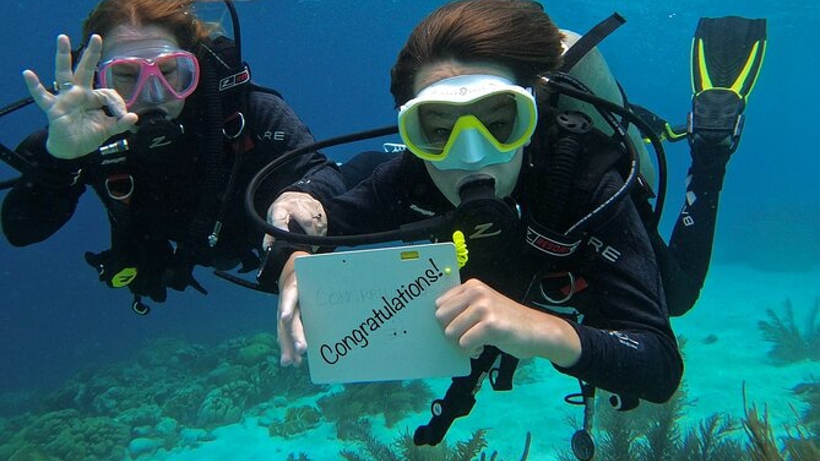 4 Wheel Diving - Image 1