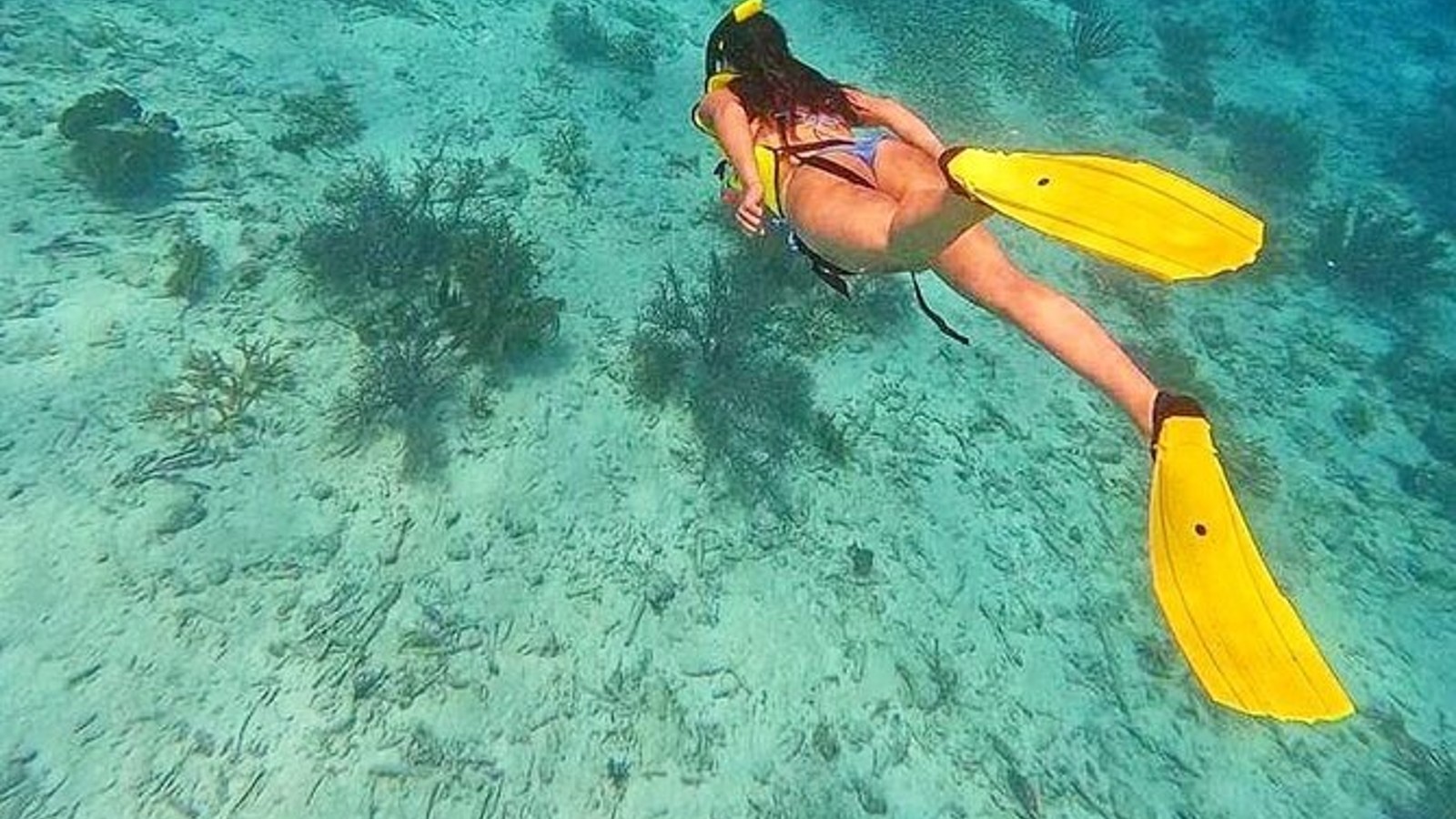 Swim & Reef Snorkeling Bonaire - Image 2