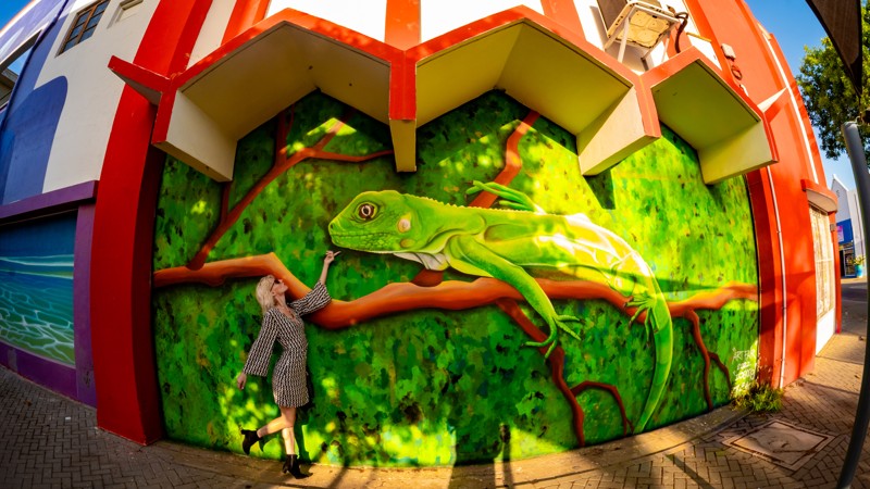 13. Aruba Street Art