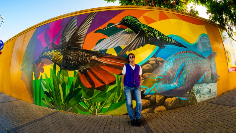 19. Aruba Street Art