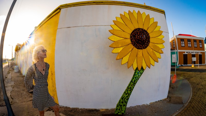 21. Aruba Street Art