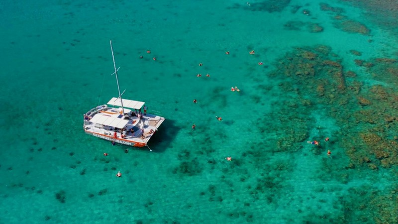 Morning Snorkel Sail - Octopus Sailing