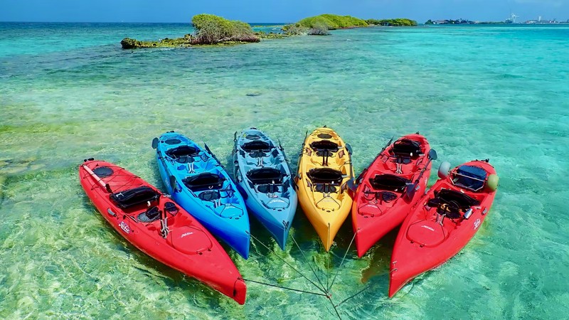 Custom Eco Tour (Kayak, SUP, or Bike)