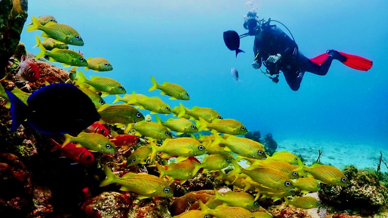 Private Dive Charter