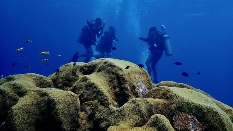 Discover Scuba Diving (Beginner)