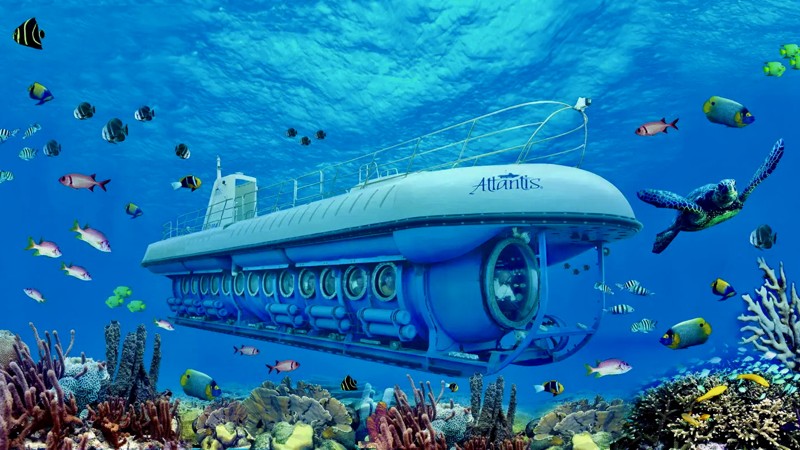 Atlantis Submarine Expedition - De Palm Tours