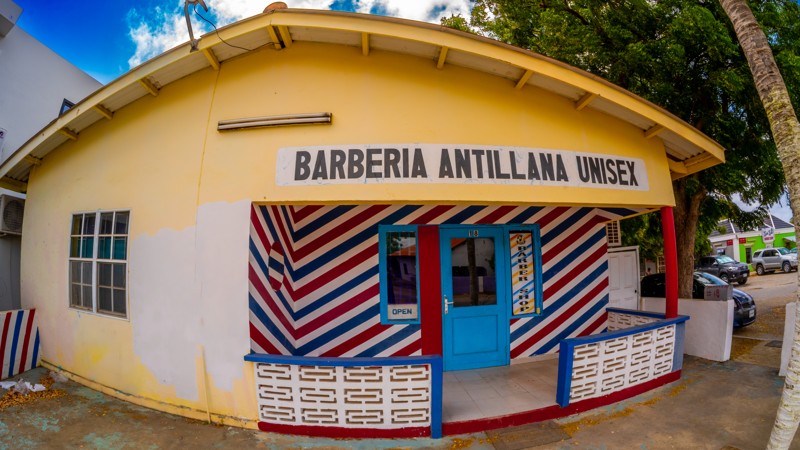 Barberia Antillana Unisex