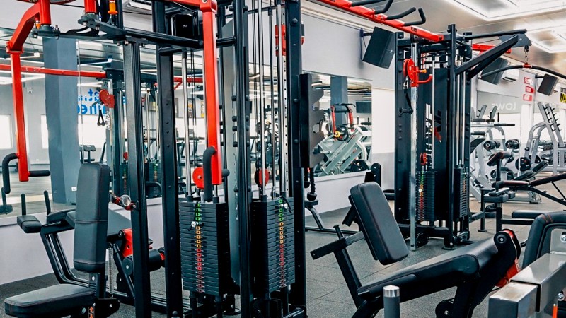 Body Evolution Fitness