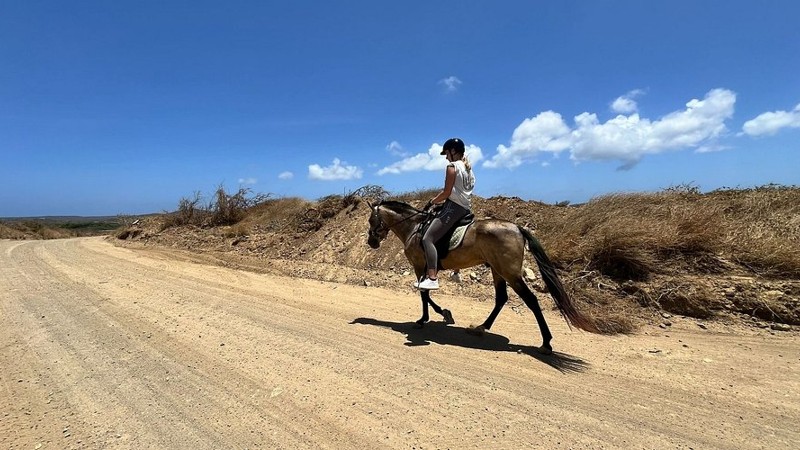 Rancho Mi Familia Horseback Tour