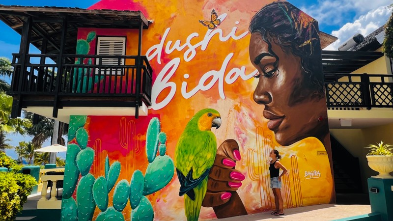 69. Curaçao Street Art