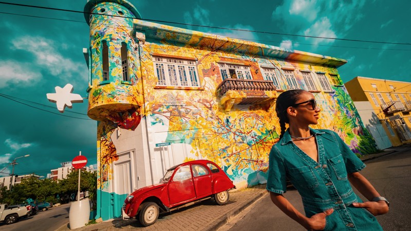 Francis Sling Studio Wall Mural